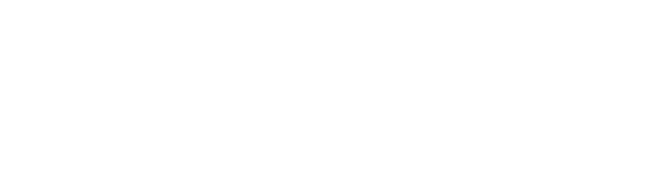 Trassl Polymer Solutions GmbH